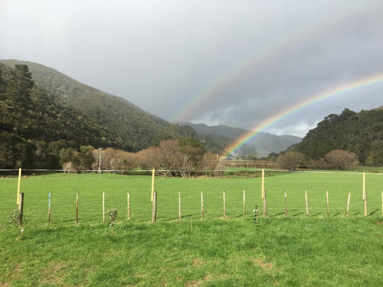 Narrow Neck Creek Farmstay And B&B Upper Hutt Exterior foto